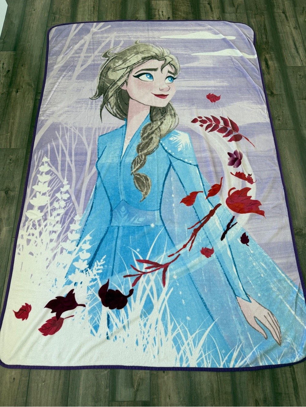 Disney Frozen 2 blanket